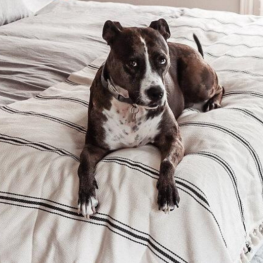 Cotton Stripe Bedspread- BABETTE