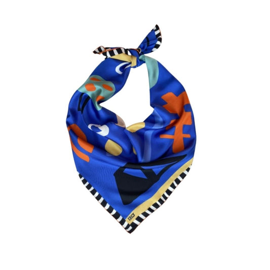 Unique Design Silk Scarf-ROLY