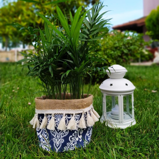 Plant Pot Cover-PERSLEY