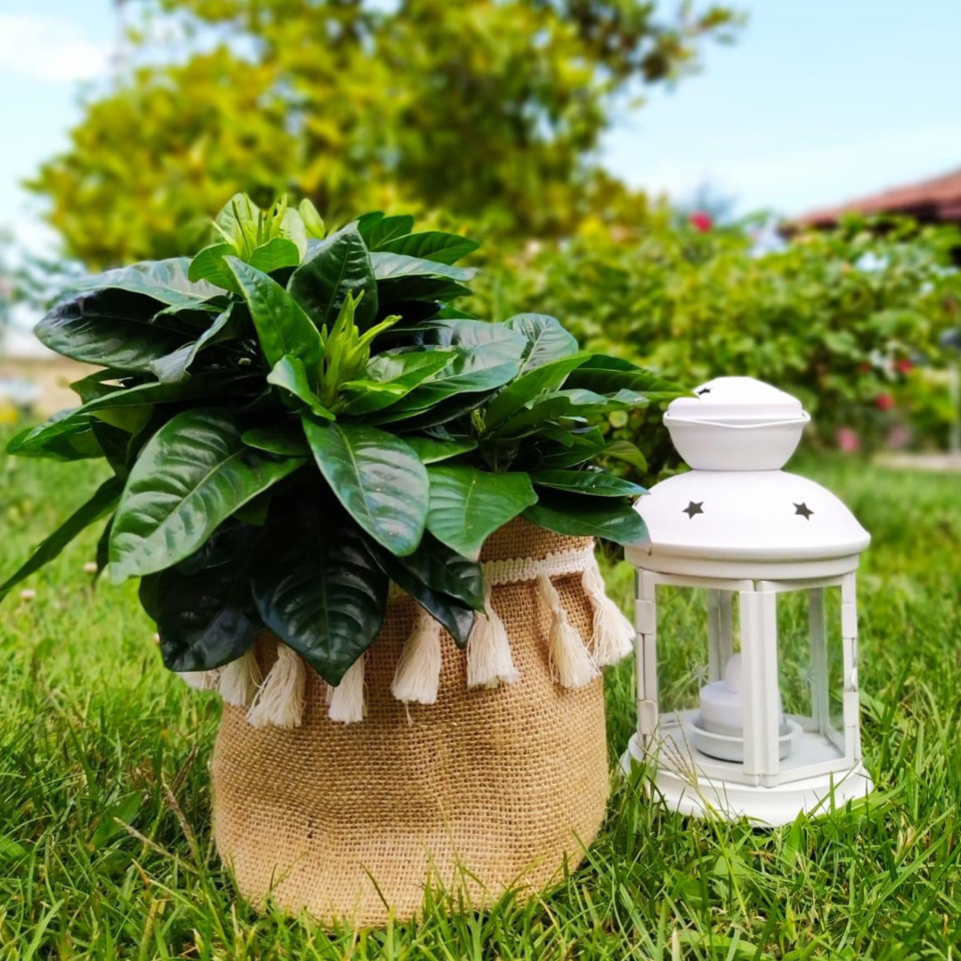 Plant Pot Cover-ELLA