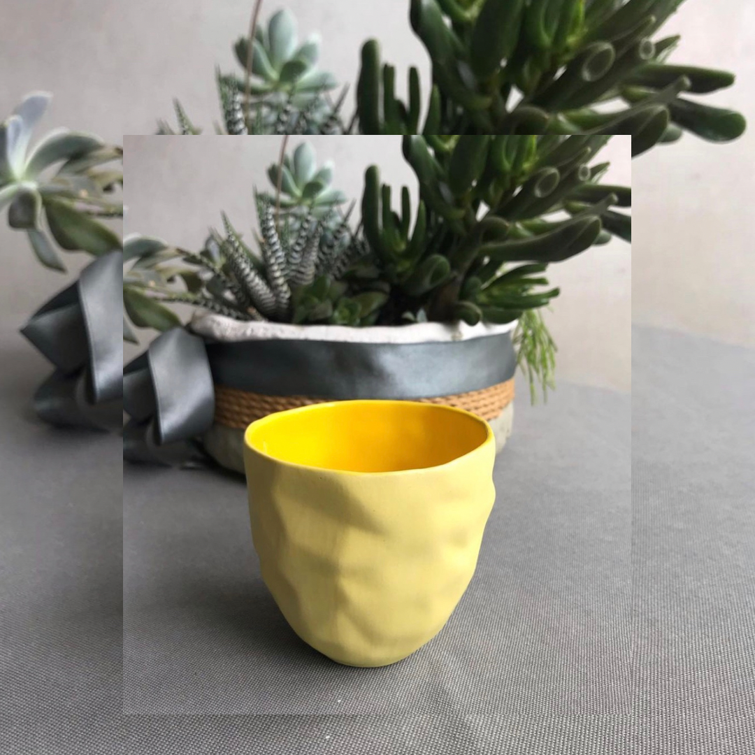 DEKA Pastel Ceramic Cup Types and Prices