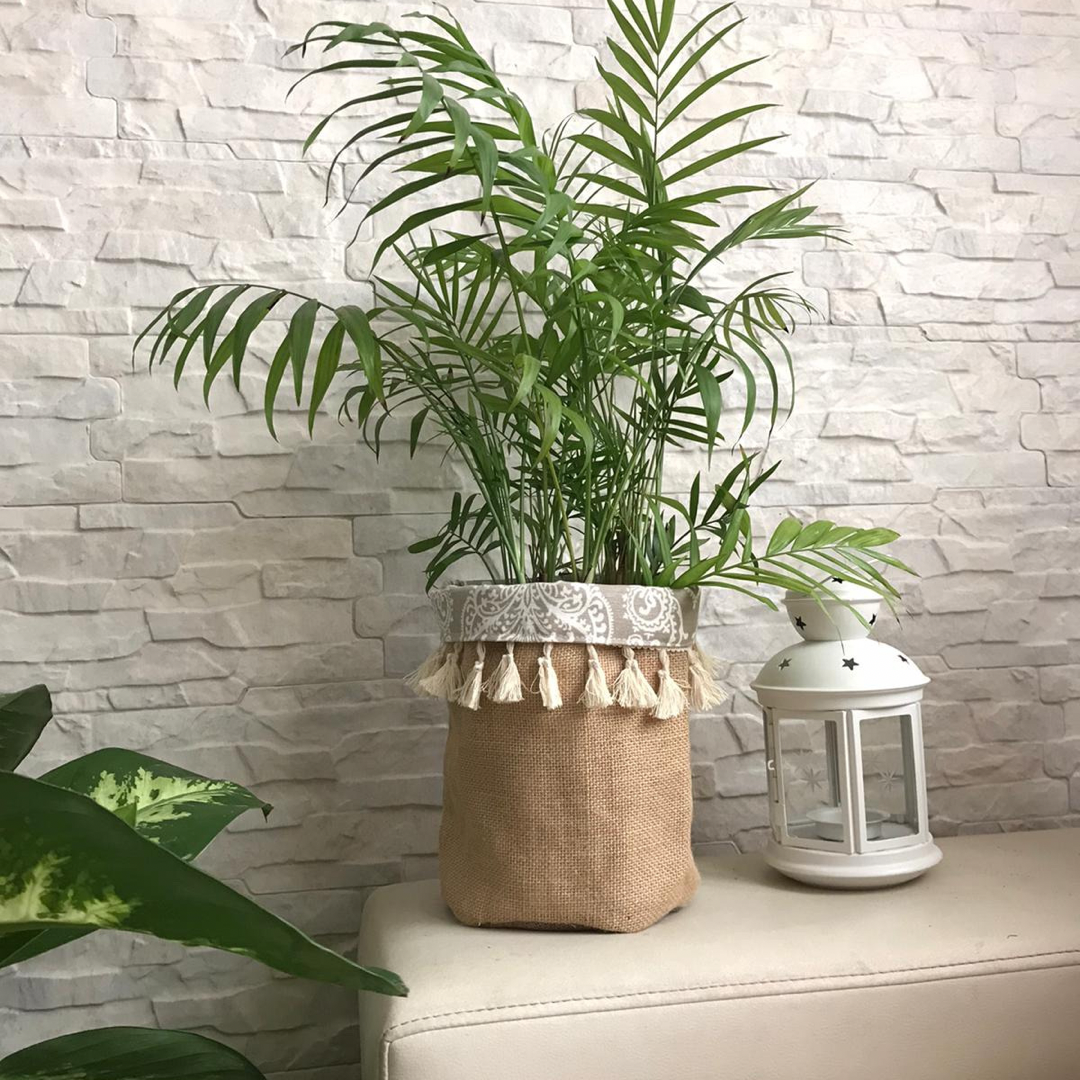 Plant Pot Cover-PERSLEY